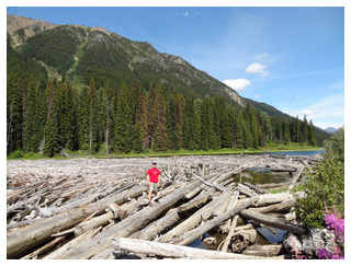 Canadá Oeste por libre, para NO fanáticos de trepar montañas. - Blogs de Canada - DIA 7: WHISTLER  ->  BLUE RIVER (6)