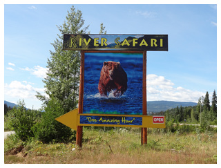 DIA 8: BLUE RIVER -> JASPER ( 2:40h ) - Canadá Oeste por libre, para NO fanáticos de trepar montañas. (3)