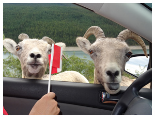 DIA 10: JASPER -> JASPER - Canadá Oeste por libre, para NO fanáticos de trepar montañas. (8)