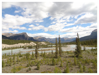 DIA 11: JASPER -> YOHO (BLAEBERRY - GOLDEN) - Canadá Oeste por libre, para NO fanáticos de trepar montañas. (11)