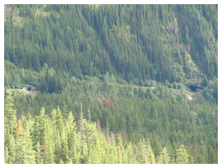 DIA 14: BANFF -> BANFF - Día de la Marmota. - Canadá Oeste por libre, para NO fanáticos de trepar montañas. (10)